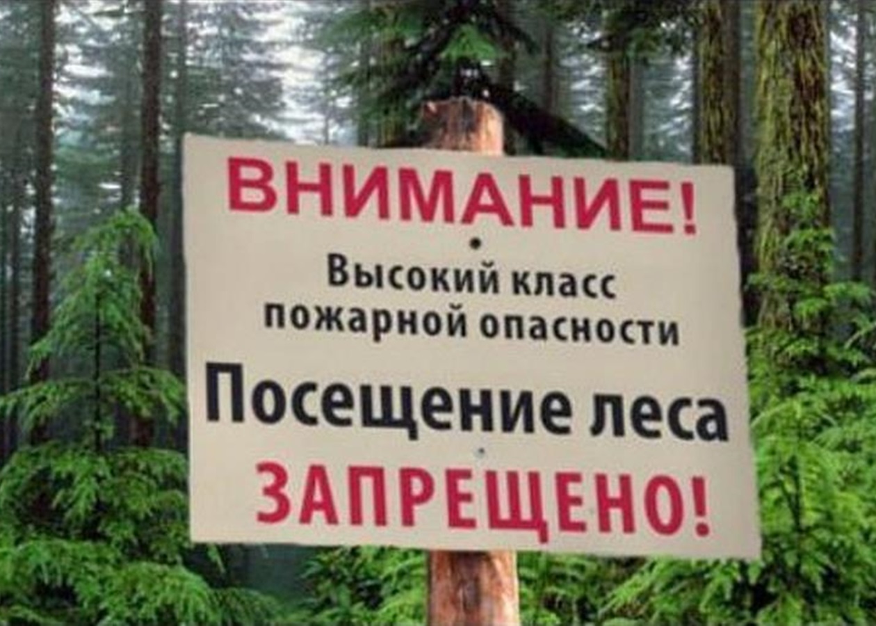 Запрет на посещение лесов. Посещение леса запрещено. Ограничение посещения лесов. Ограничено пребывание граждан в лесах.