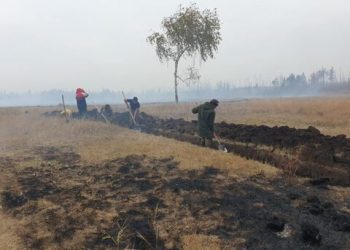 В четырех районах Якутии тушат лесные пожары