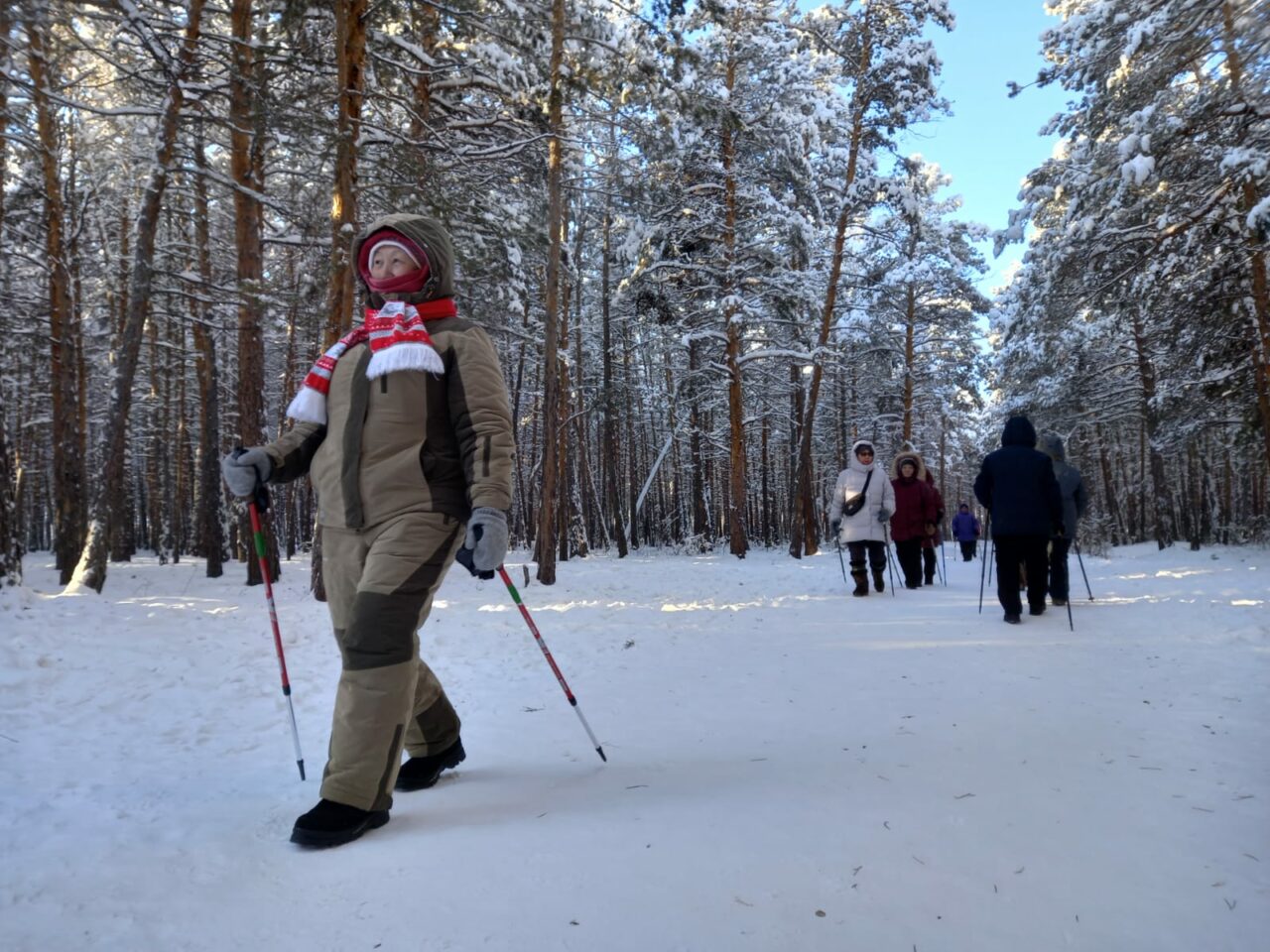 Скандинавская ходьба Nordic Walking / Сила лотоса, клуб туризма