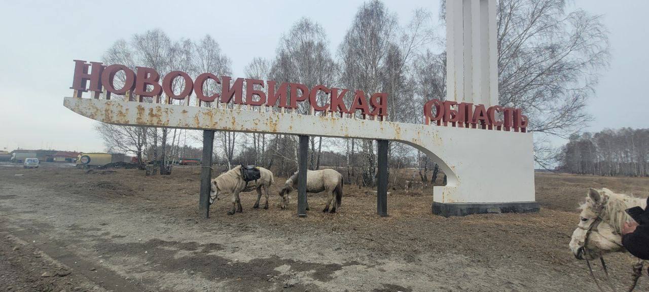 Якутские всадники пересекли границу Новосибирской области — Yakutia-daily.ru