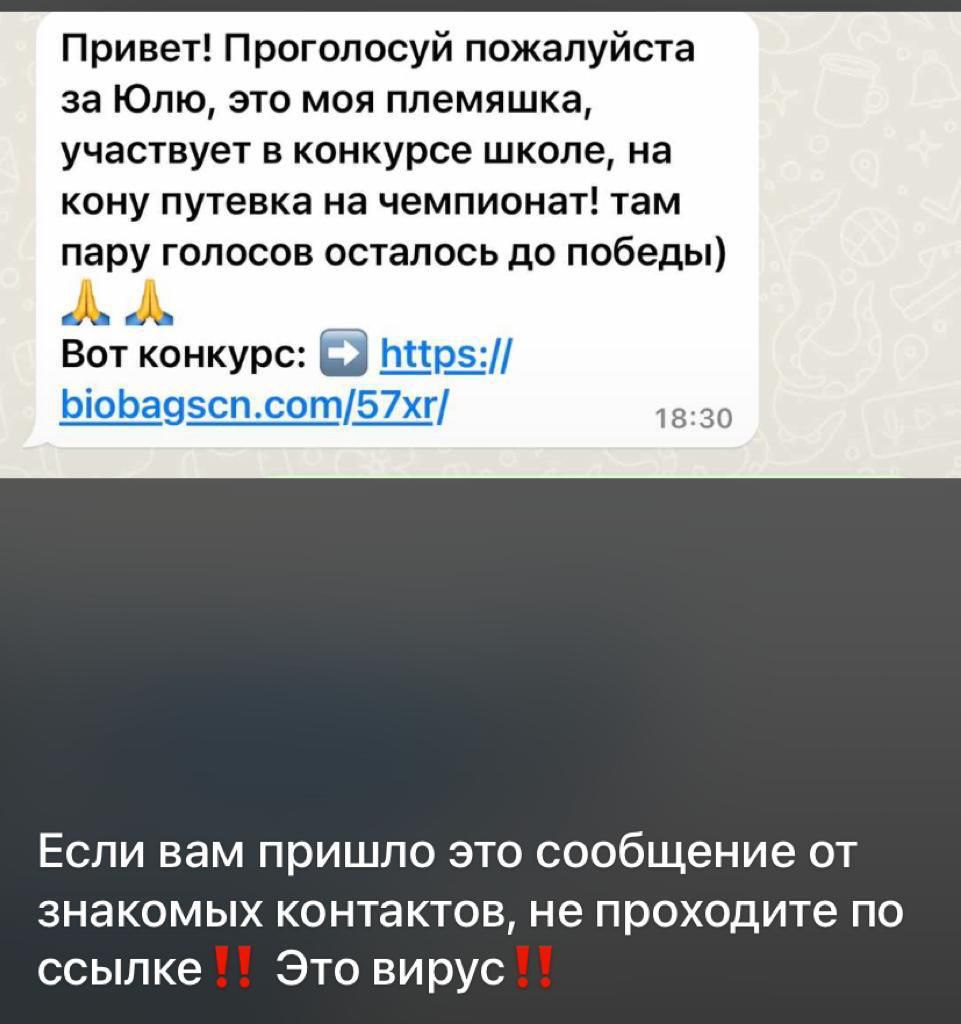 МВД по Якутии предупредило о вредоносной рассылке по WhatsApp —  Yakutia-daily.ru