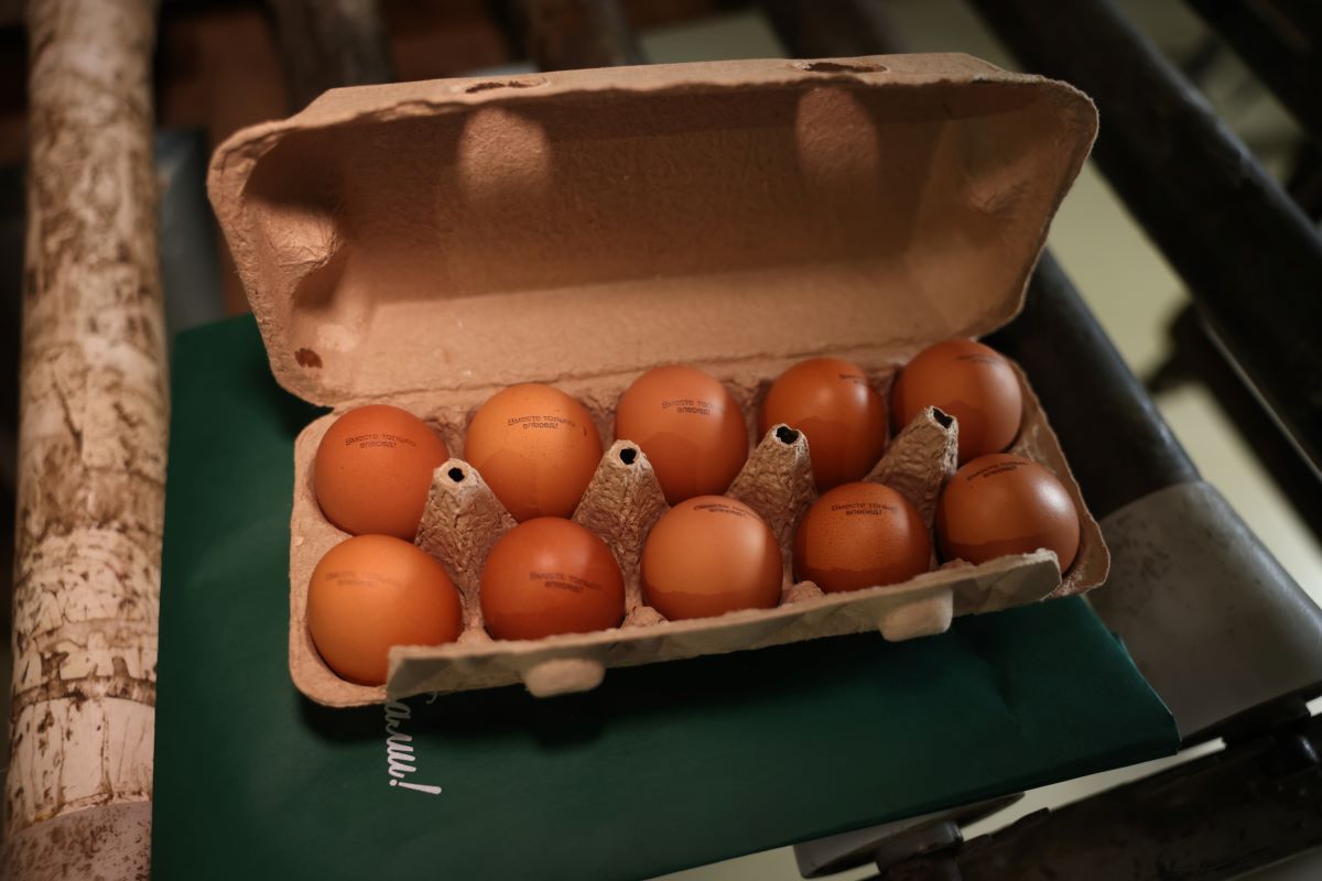 Игр. наб. Продукты - яйца 16шт в корзине