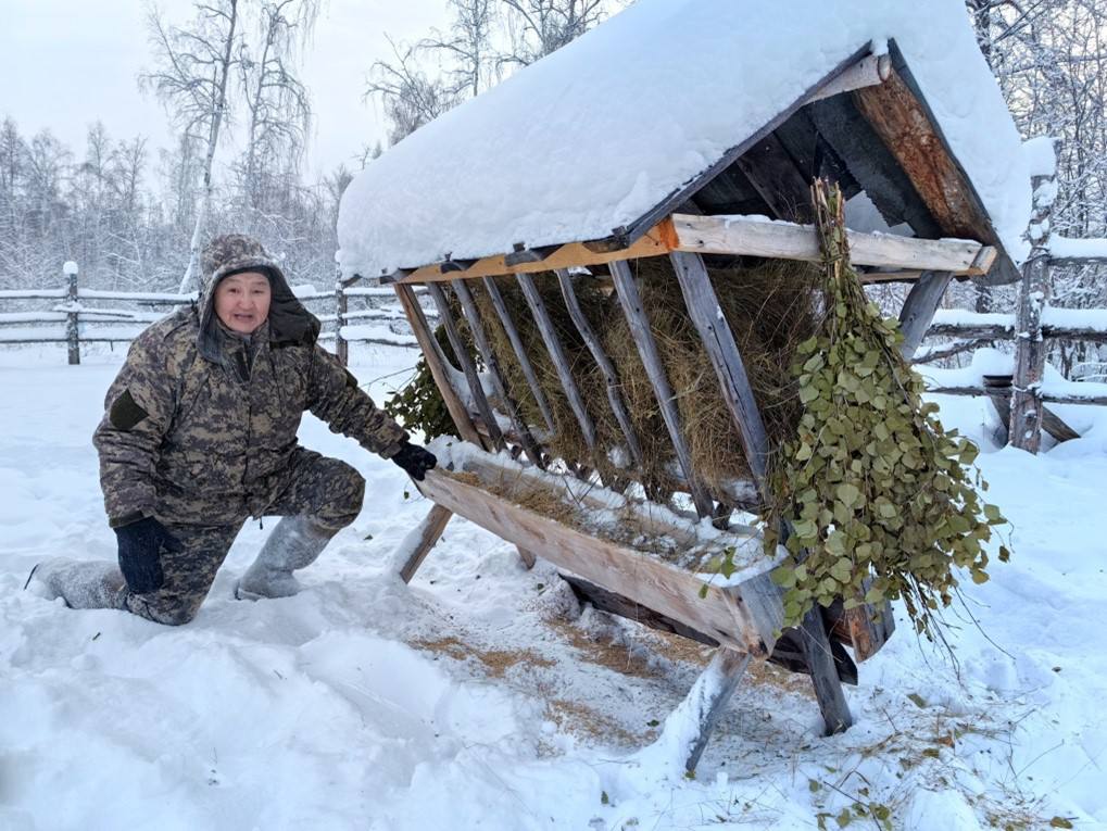 Подкормка животных зимой