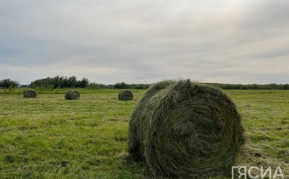 Фото с сайта sakha.gov.ru